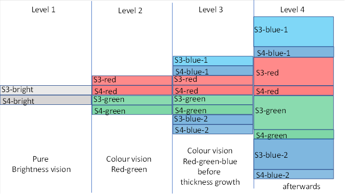  Splitting the visual modalities