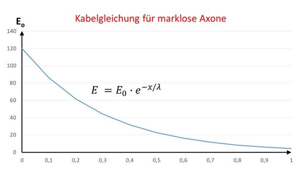 Cable equation for markless fibres