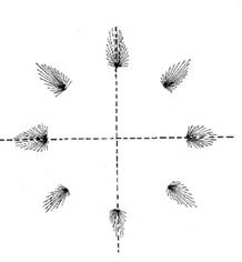 Coding of the direction of movement by active neuron populations