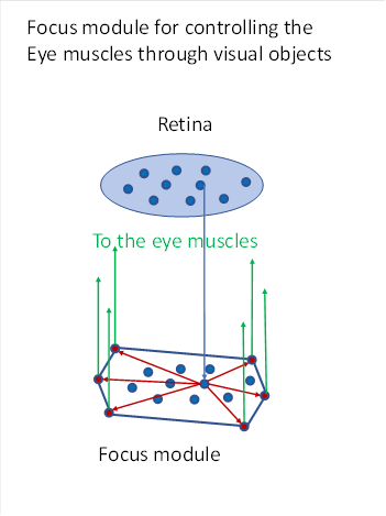 Focus module - simplified representation