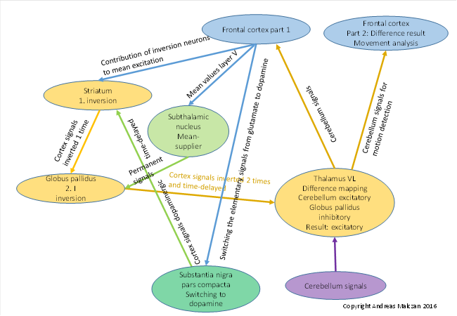 Basal ganglia module and its circuitry for motor signals